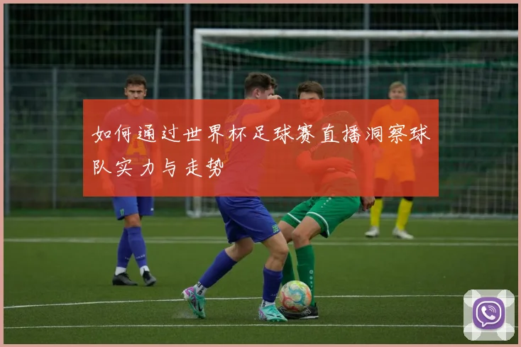 如何通过世界杯足球赛直播洞察球队实力与走势