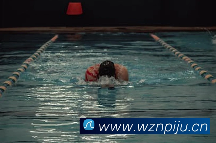 星空体育首页官网APP 封面图